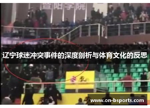 辽宁球迷冲突事件的深度剖析与体育文化的反思